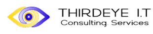 ThirdEye IT consulting services Logo