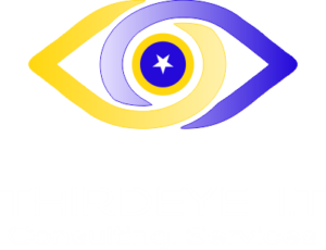 Thirdeye IT consulting services logo